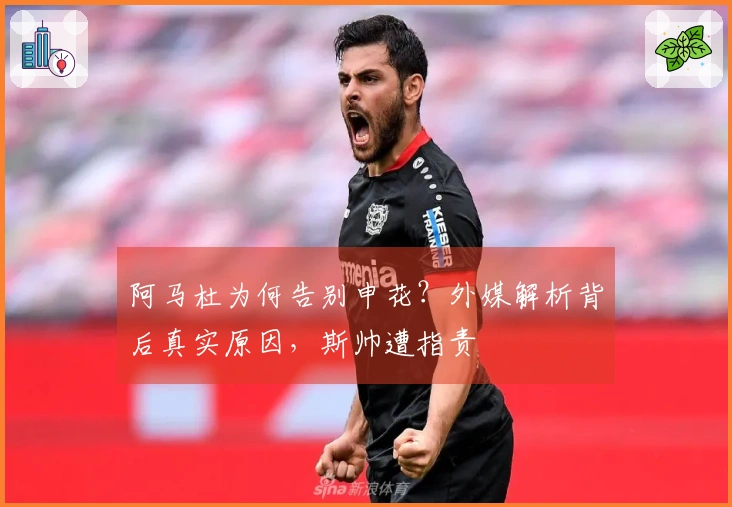 阿马杜为何告别申花？外媒解析背后真实原因，斯帅遭指责