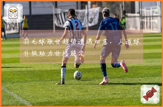 羽毛球涨价趋势遭遇回落，人造球升级助力价格稳定