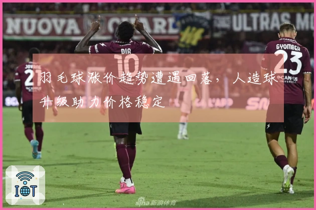 羽毛球涨价趋势遭遇回落，人造球升级助力价格稳定