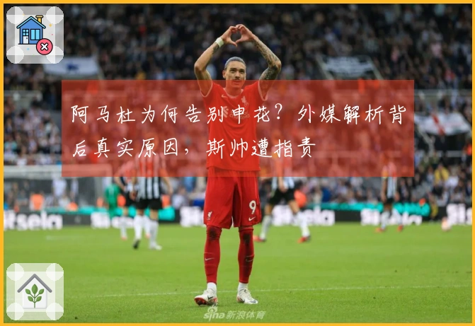 阿马杜为何告别申花？外媒解析背后真实原因，斯帅遭指责